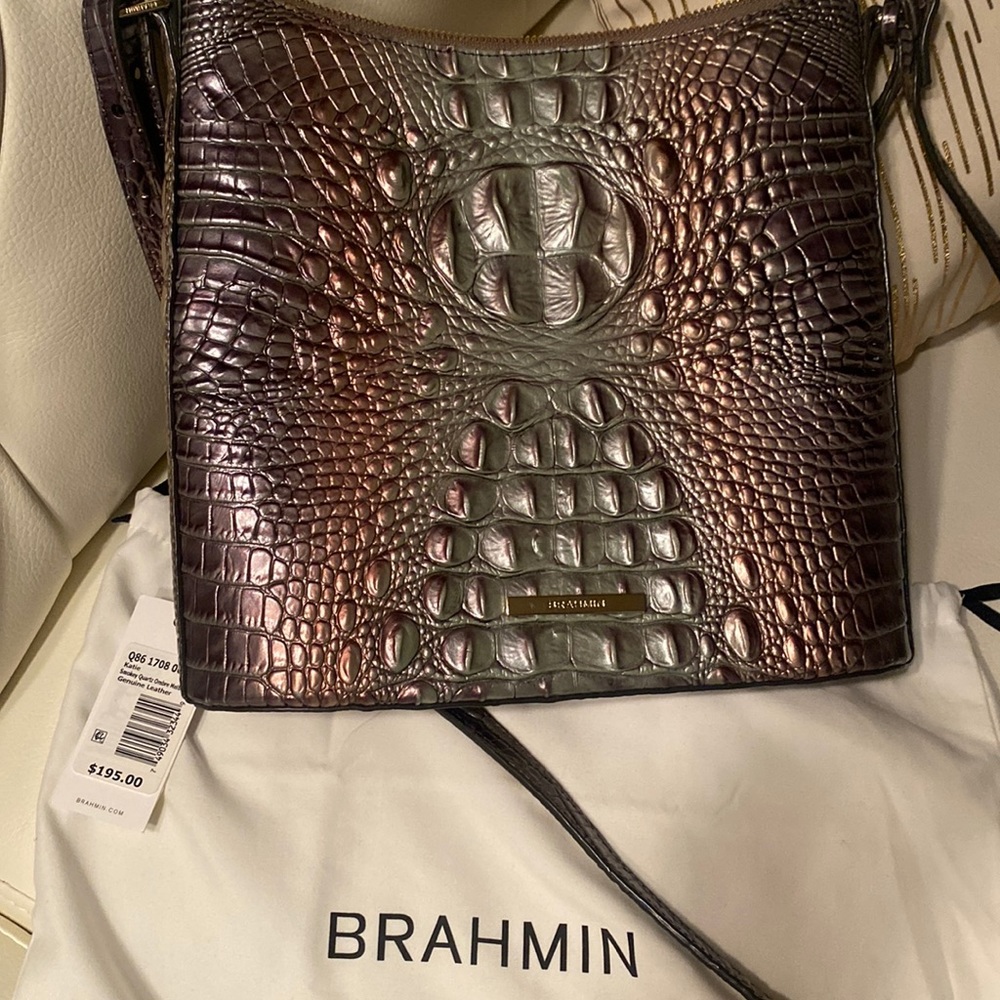 Brahmin Hobo